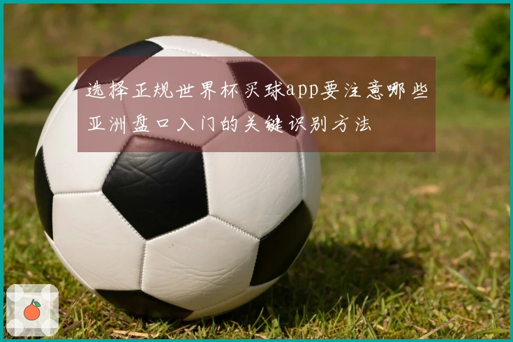 选择正规世界杯买球app要注意哪些亚洲盘口入门的关键识别方法