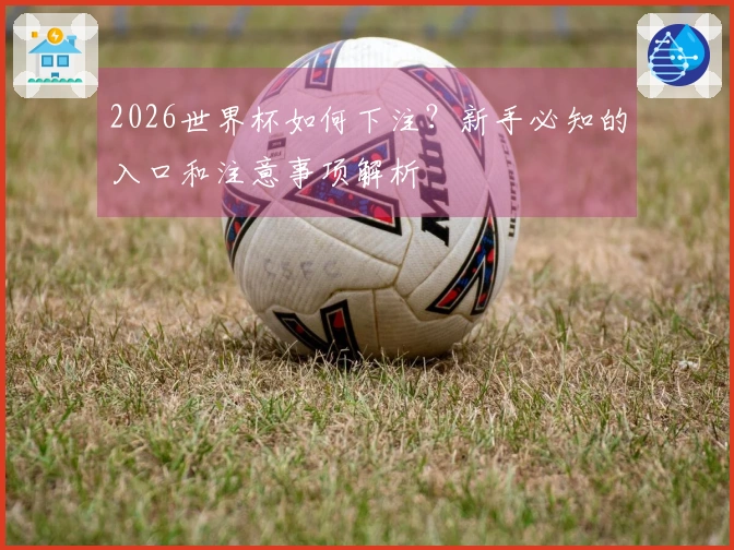 2026世界杯如何下注?新手必知的入口和注意事项解析