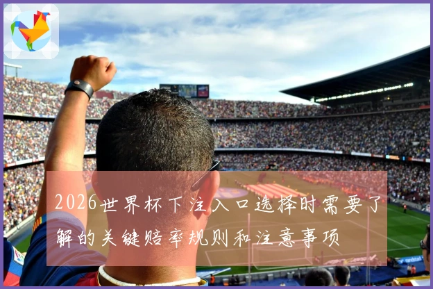 2026世界杯下注入口选择时需要了解的关键赔率规则和注意事项