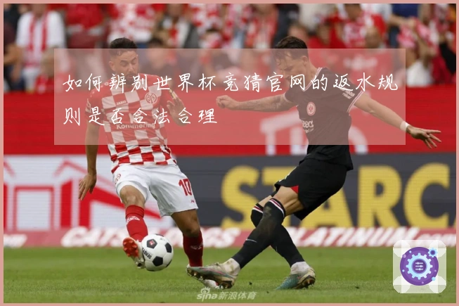 如何辨别世界杯竞猜官网的返水规则是否合法合理