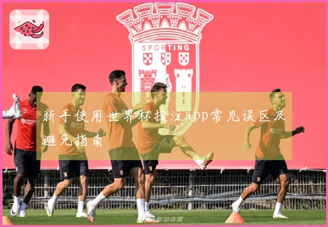 新手使用世界杯投注app常见误区及避免指南