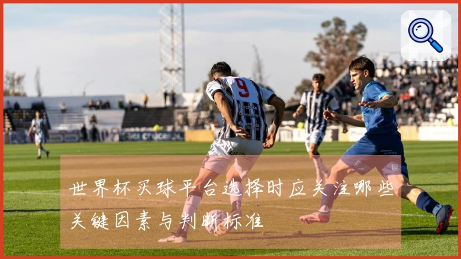 世界杯买球平台选择时应关注哪些关键因素与判断标准