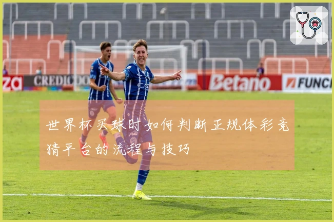 世界杯买球时如何判断正规体彩竞猜平台的流程与技巧