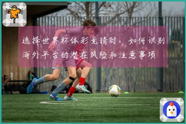 选择世界杯体彩竞猜时，如何识别海外平台的潜在风险和注意事项