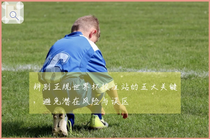 辨别正规世界杯投注站的五大关键，避免潜在风险与误区