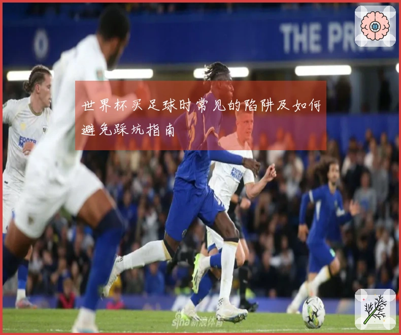 世界杯买足球时常见的陷阱及如何避免踩坑指南