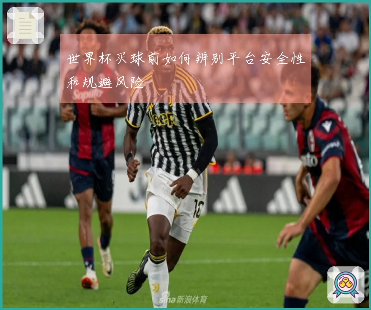 世界杯买球前如何辨别平台安全性和规避风险