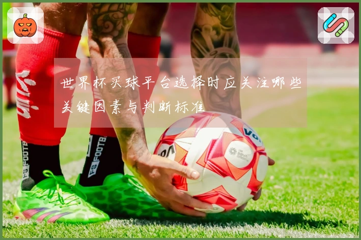 世界杯买球平台选择时应关注哪些关键因素与判断标准