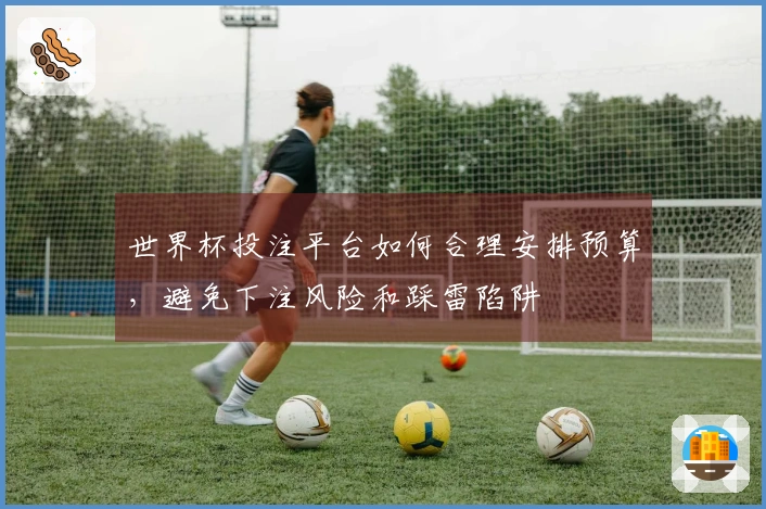 世界杯投注平台如何合理安排预算，避免下注风险和踩雷陷阱