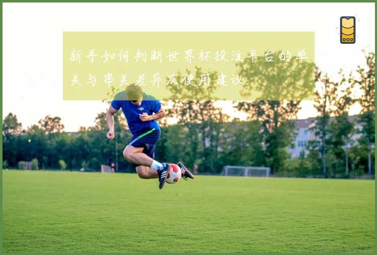 新手如何判断世界杯投注平台的单关与串关差异及使用建议