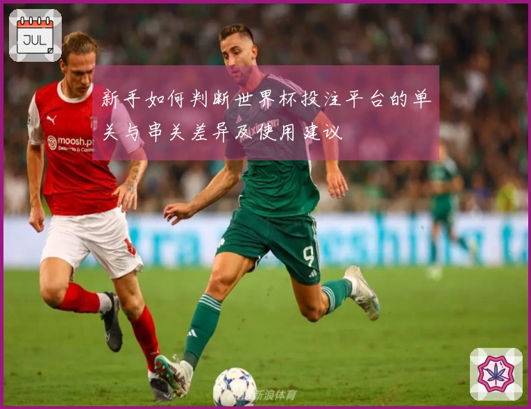 新手如何判断世界杯投注平台的单关与串关差异及使用建议