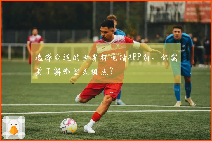 选择合适的世界杯竞猜APP前，你需要了解哪些关键点？