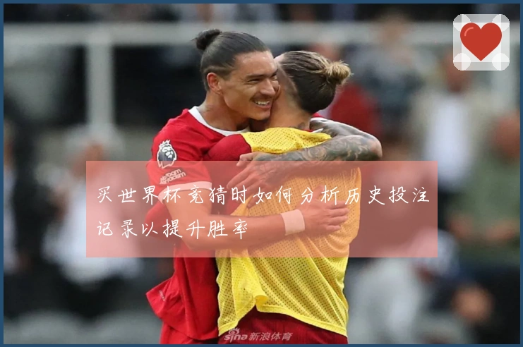 买世界杯竞猜时如何分析历史投注记录以提升胜率