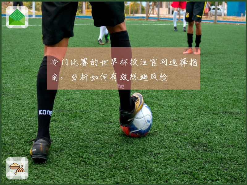 冷门比赛的世界杯投注官网选择指南，分析如何有效规避风险
