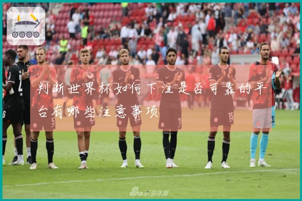 判断世界杯如何下注是否可靠的平台有哪些注意事项