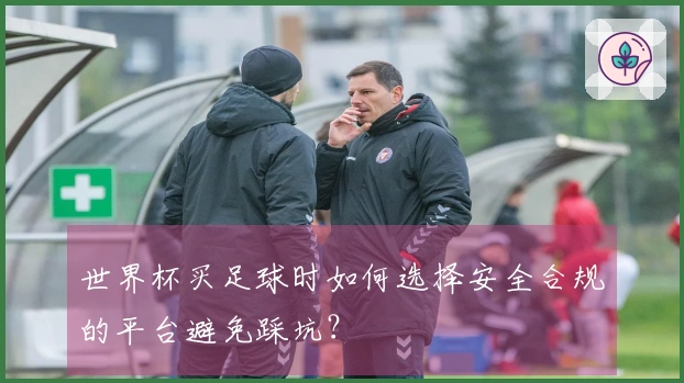 世界杯买足球时如何选择安全合规的平台避免踩坑？