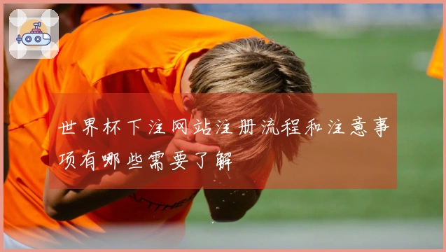 世界杯下注网站注册流程和注意事项有哪些需要了解