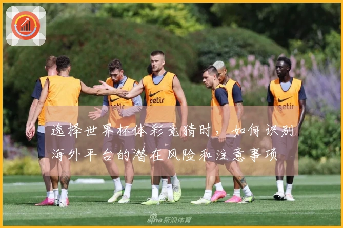 选择世界杯体彩竞猜时，如何识别海外平台的潜在风险和注意事项