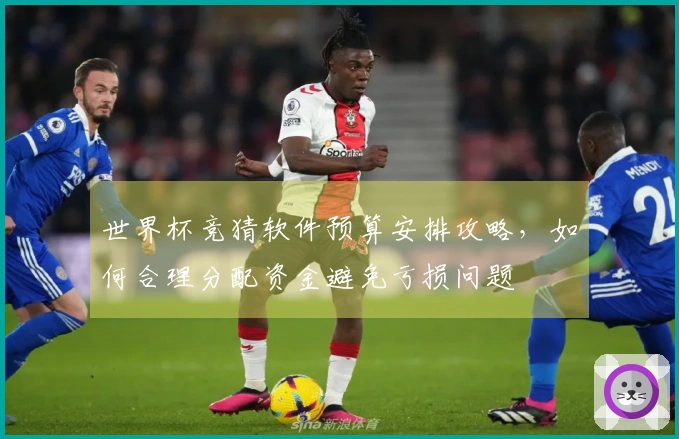 世界杯竞猜软件预算安排攻略，如何合理分配资金避免亏损问题
