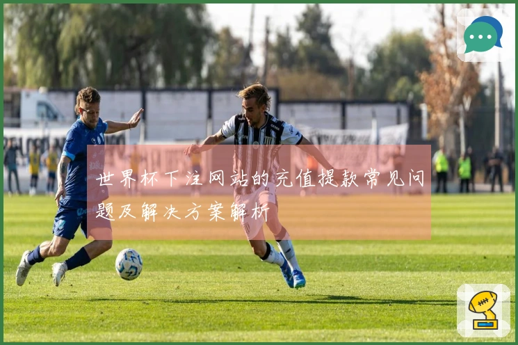 世界杯下注网站的充值提款常见问题及解决方案解析