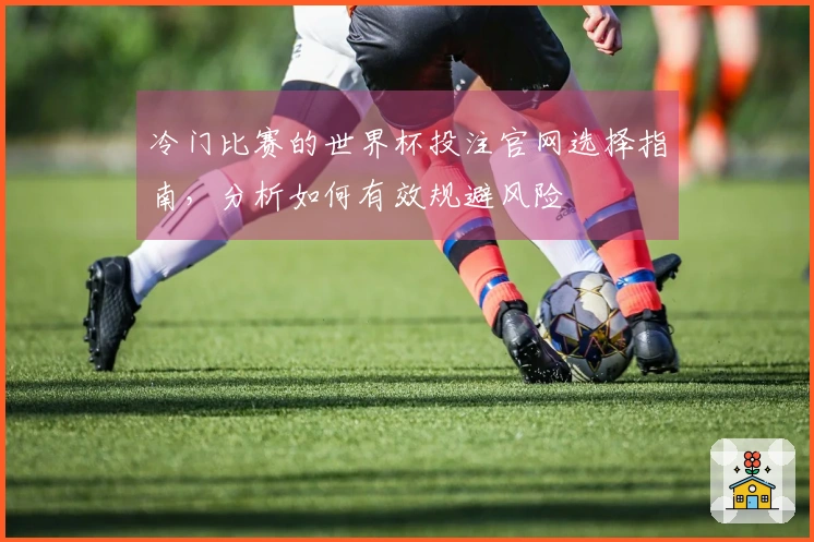 冷门比赛的世界杯投注官网选择指南,分析如何有效规避风险