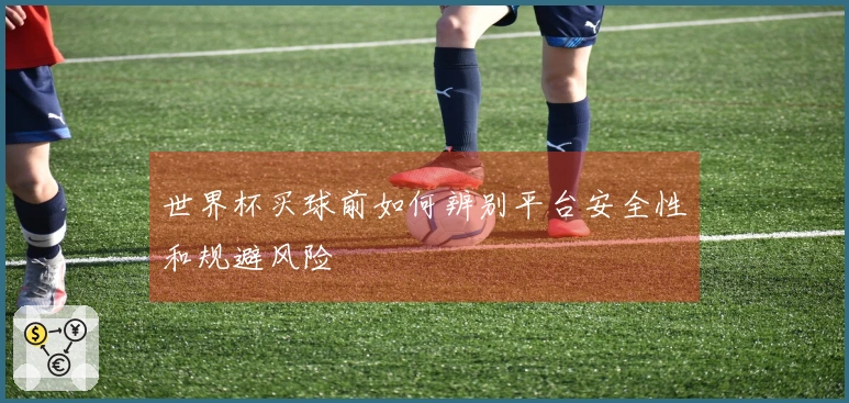 世界杯买球前如何辨别平台安全性和规避风险