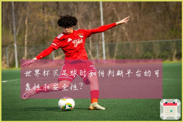 世界杯买足球时如何判断平台的可靠性和安全性？