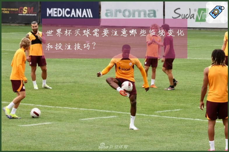 世界杯买球需要注意哪些临场变化和投注技巧?