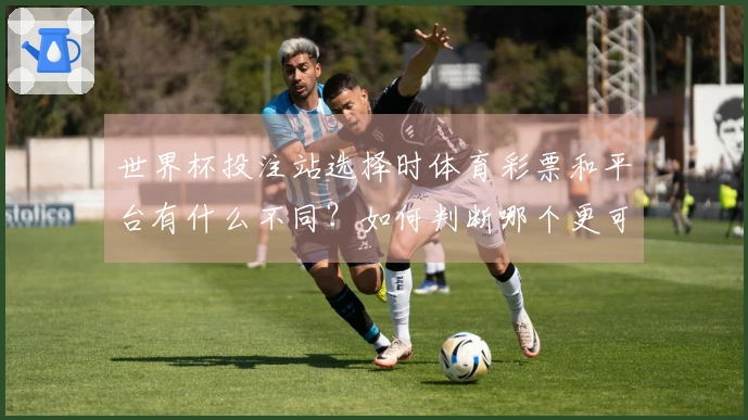 世界杯投注站选择时体育彩票和平台有什么不同？如何判断哪个更可靠？