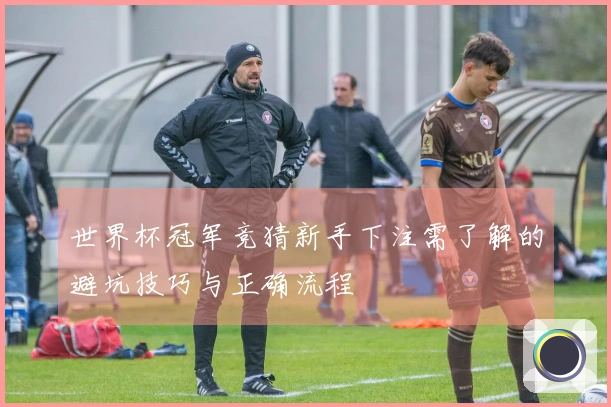 世界杯冠军竞猜新手下注需了解的避坑技巧与正确流程