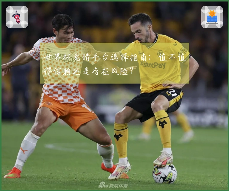 世界杯竞猜平台选择指南：值不值得信赖还是存在风险？