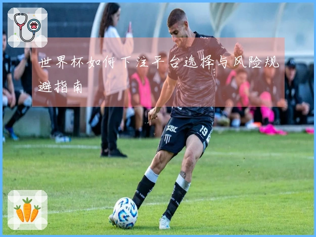 世界杯如何下注平台选择与风险规避指南